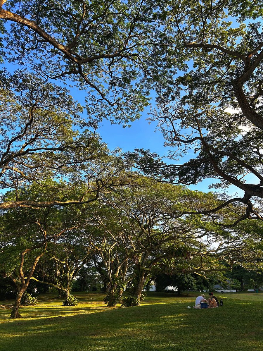 Ruby9ws's tweet image. I was in a particularly good mood this weekend because I saw many beautiful things.