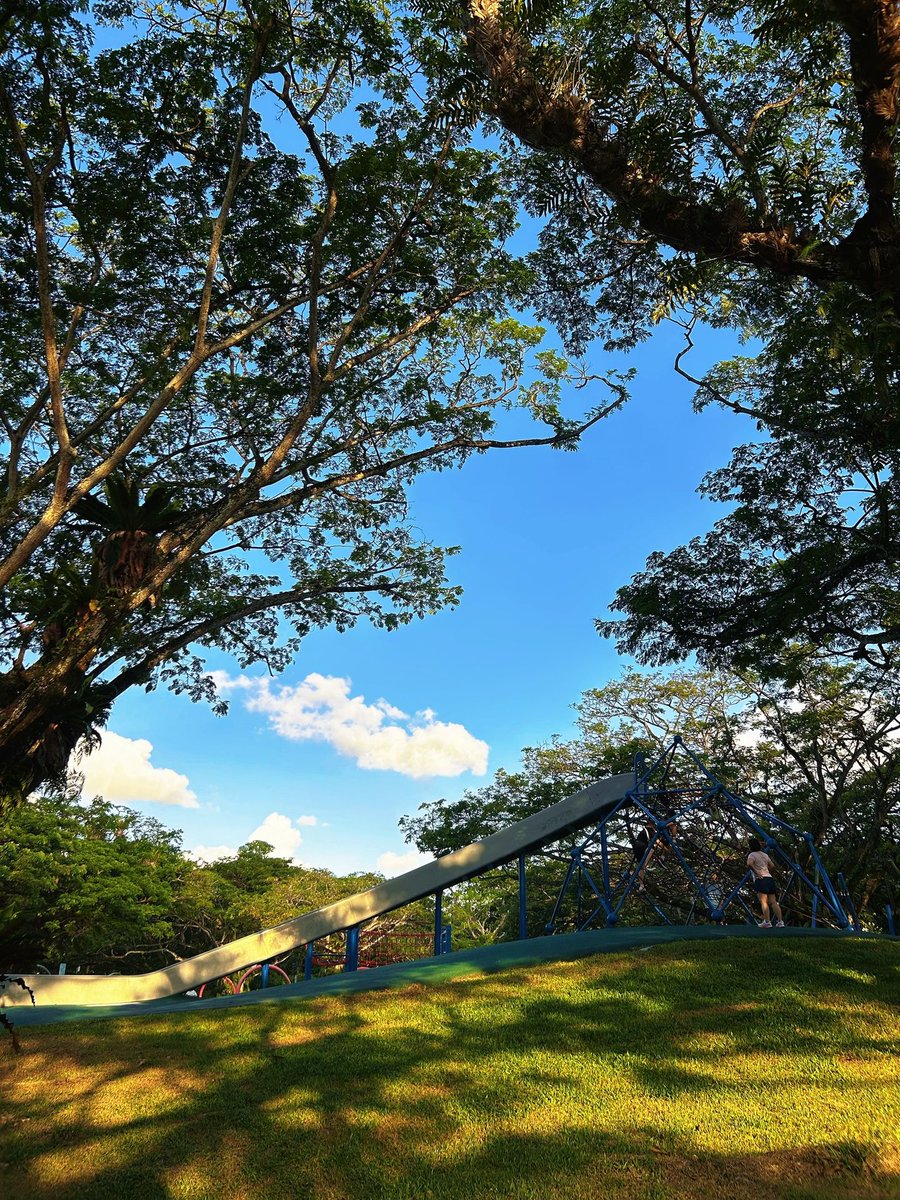 Ruby9ws's tweet image. I was in a particularly good mood this weekend because I saw many beautiful things.