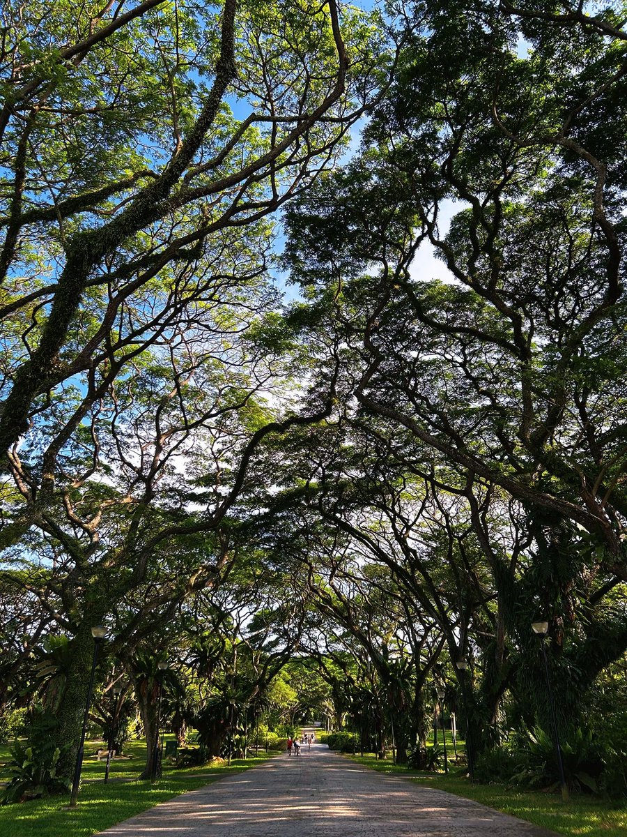 Ruby9ws's tweet image. I was in a particularly good mood this weekend because I saw many beautiful things.