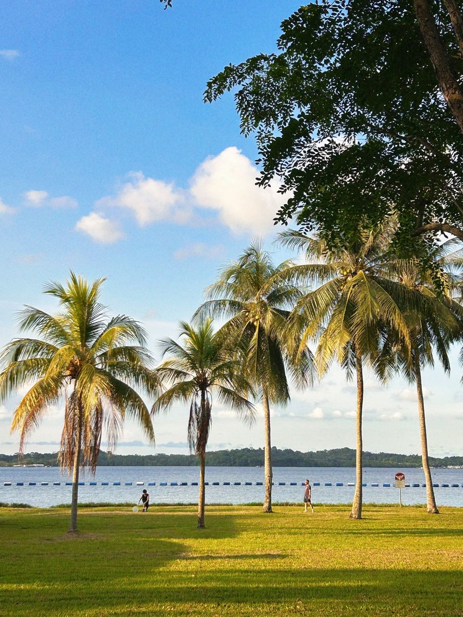 Ruby9ws's tweet image. I was in a particularly good mood this weekend because I saw many beautiful things.