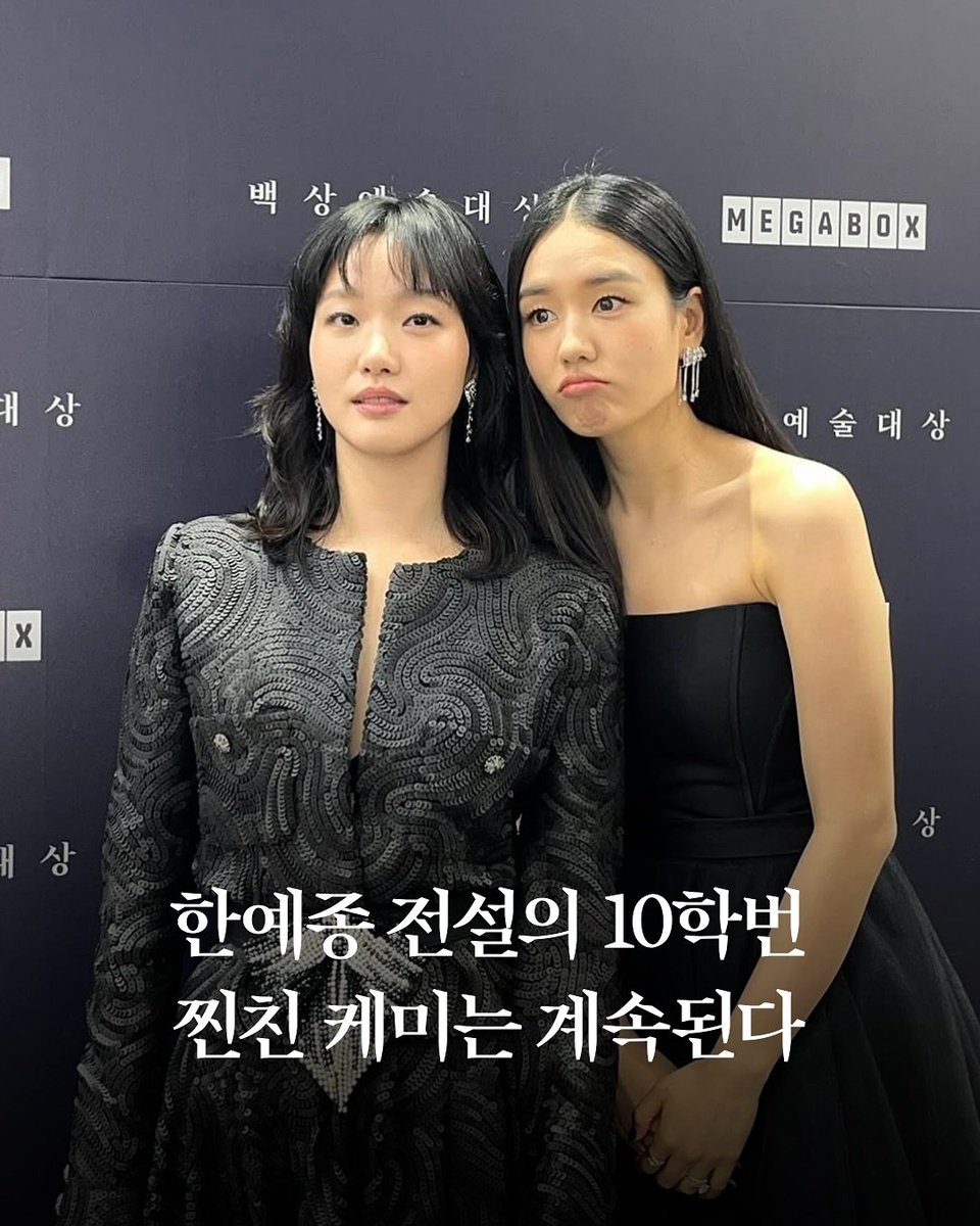 토독 tweet media
