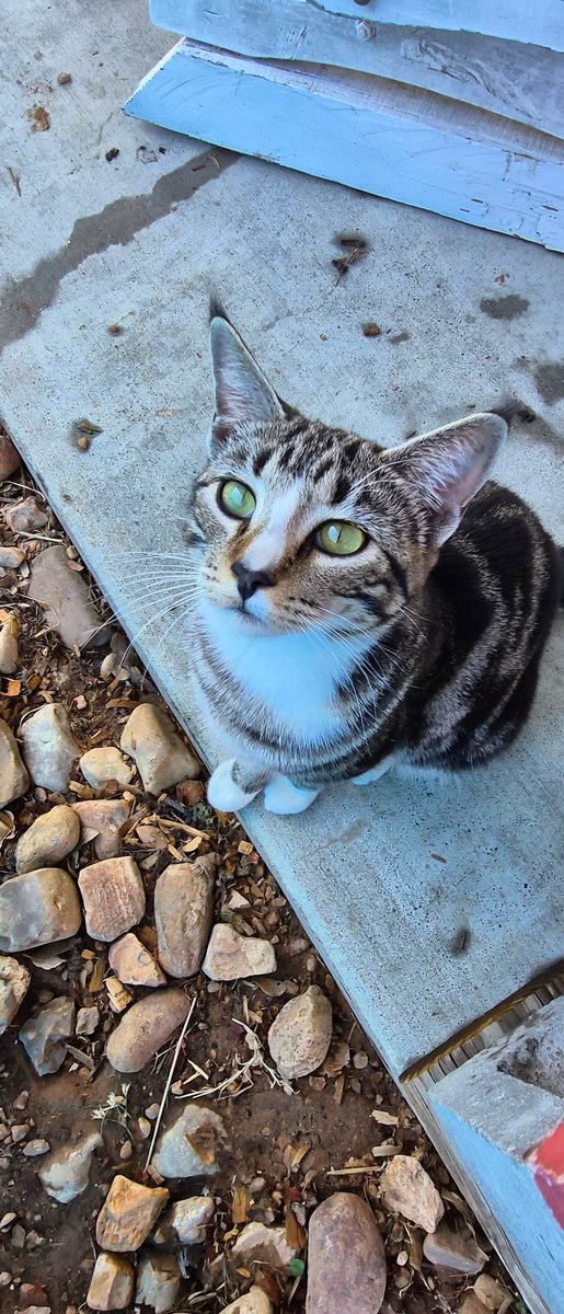 My son took this picture.  I'm thinking of getting him his own camera.