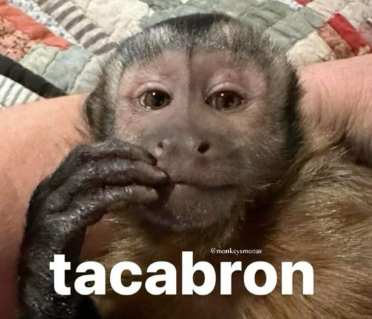 carlaafigueroa2's tweet image. ya ni me duele ya solo es