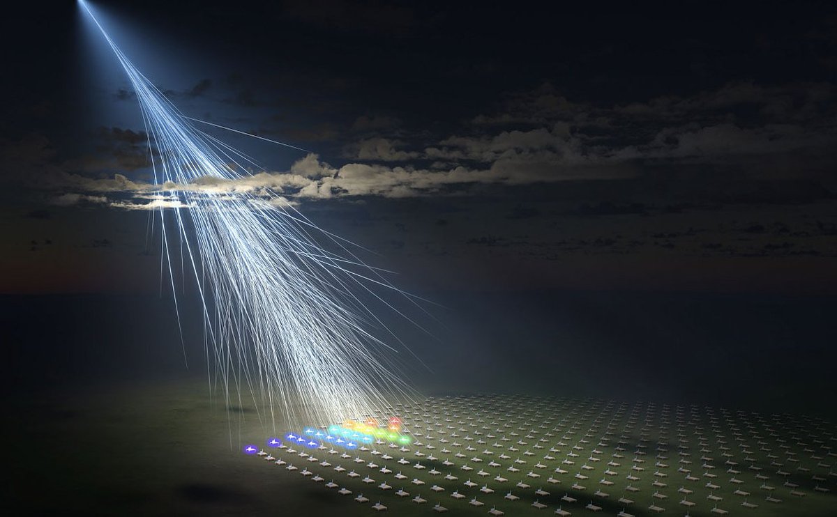 luvxomea tweet media