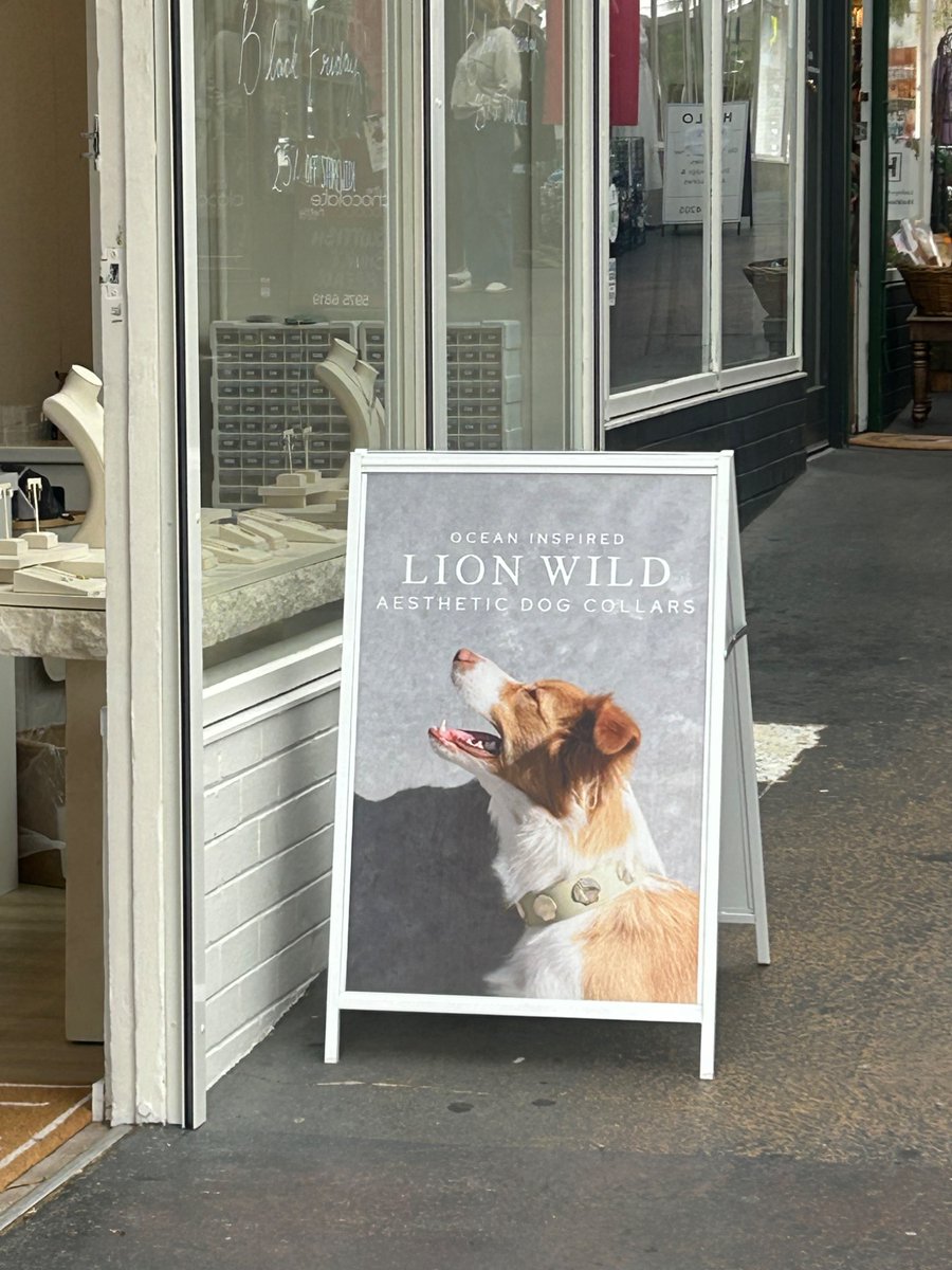 do_not_test_me's tweet image. mornington is so…