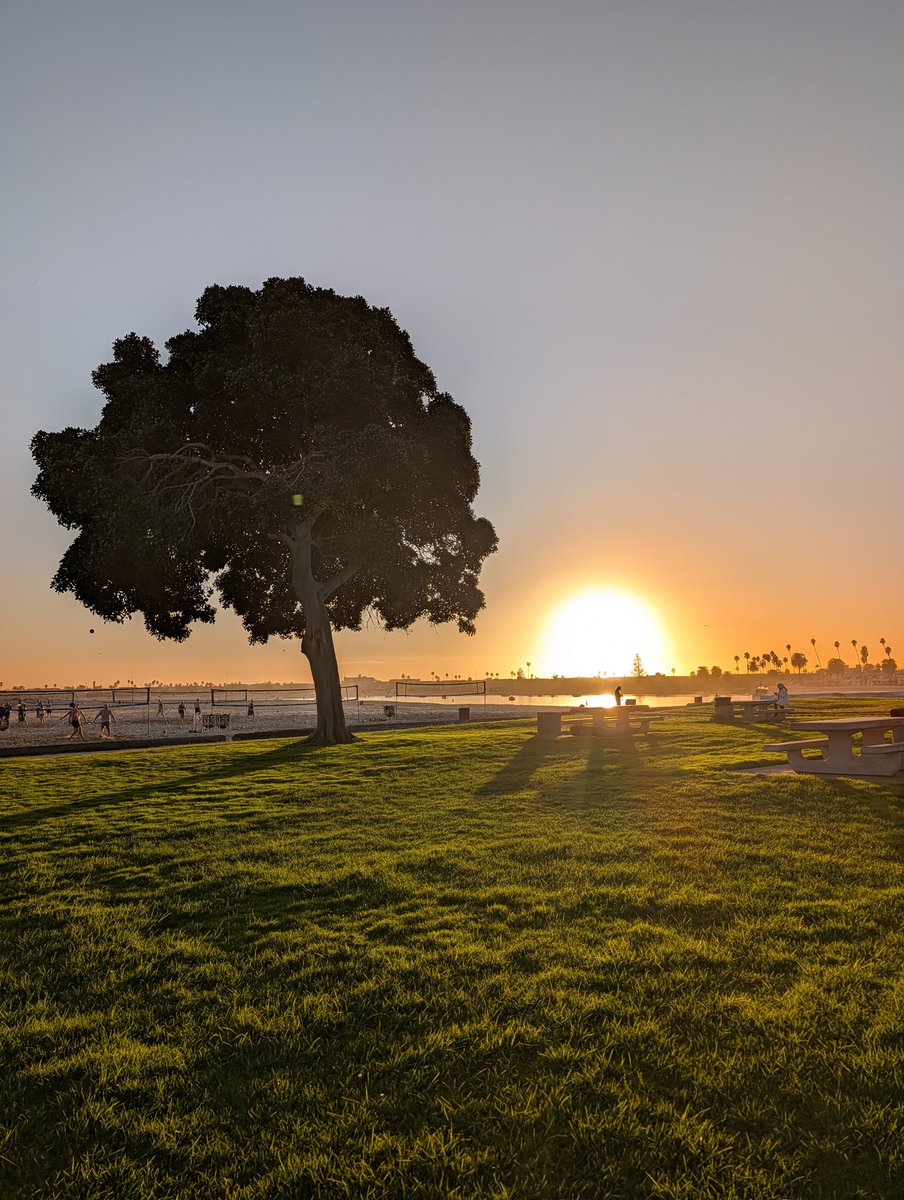 Malik Prince tweet media