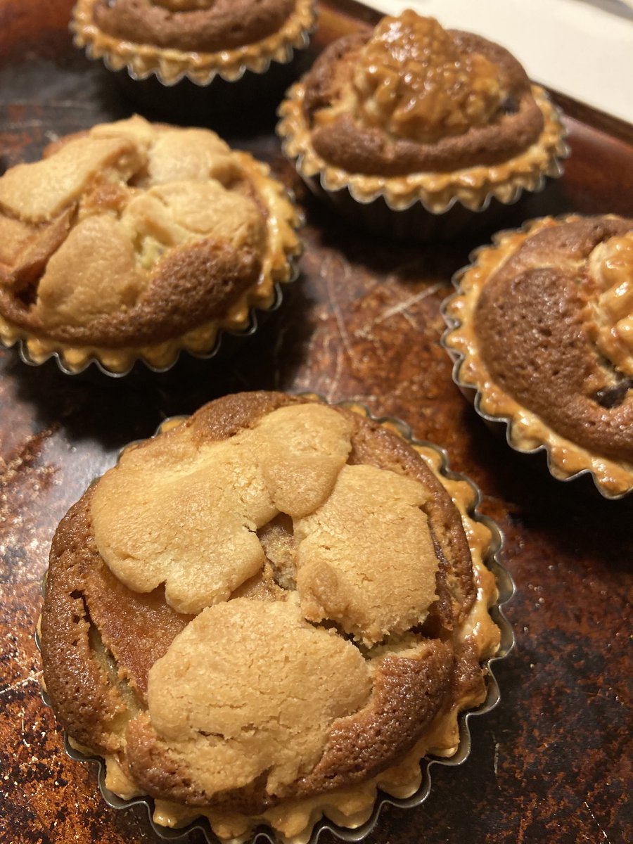 マロン★ハリー⭐️本日より10%割引⭐️ マロン☆ハリー⭐️本日より10%割引⭐️ はいらいと on X