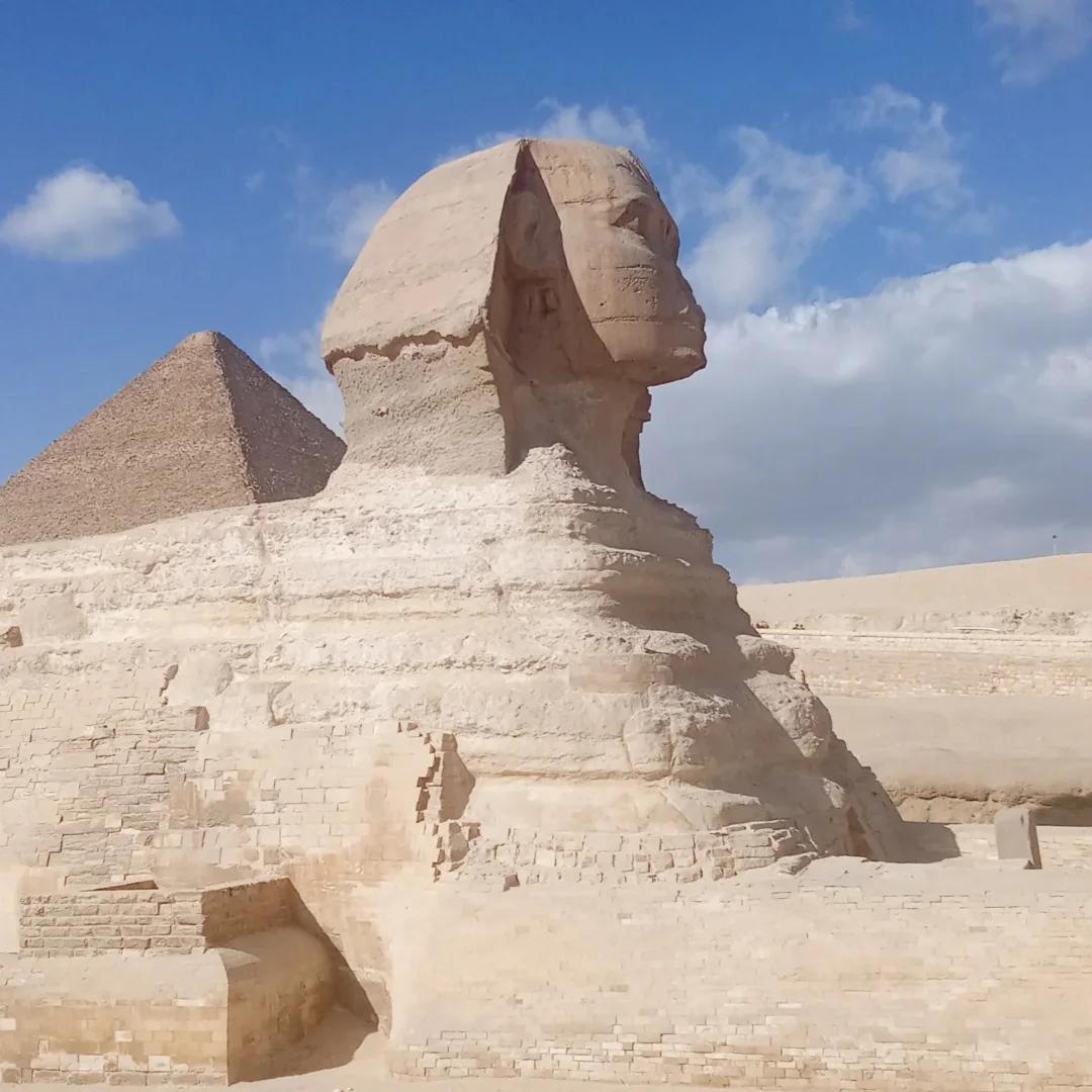 Alex Ramez tweet media