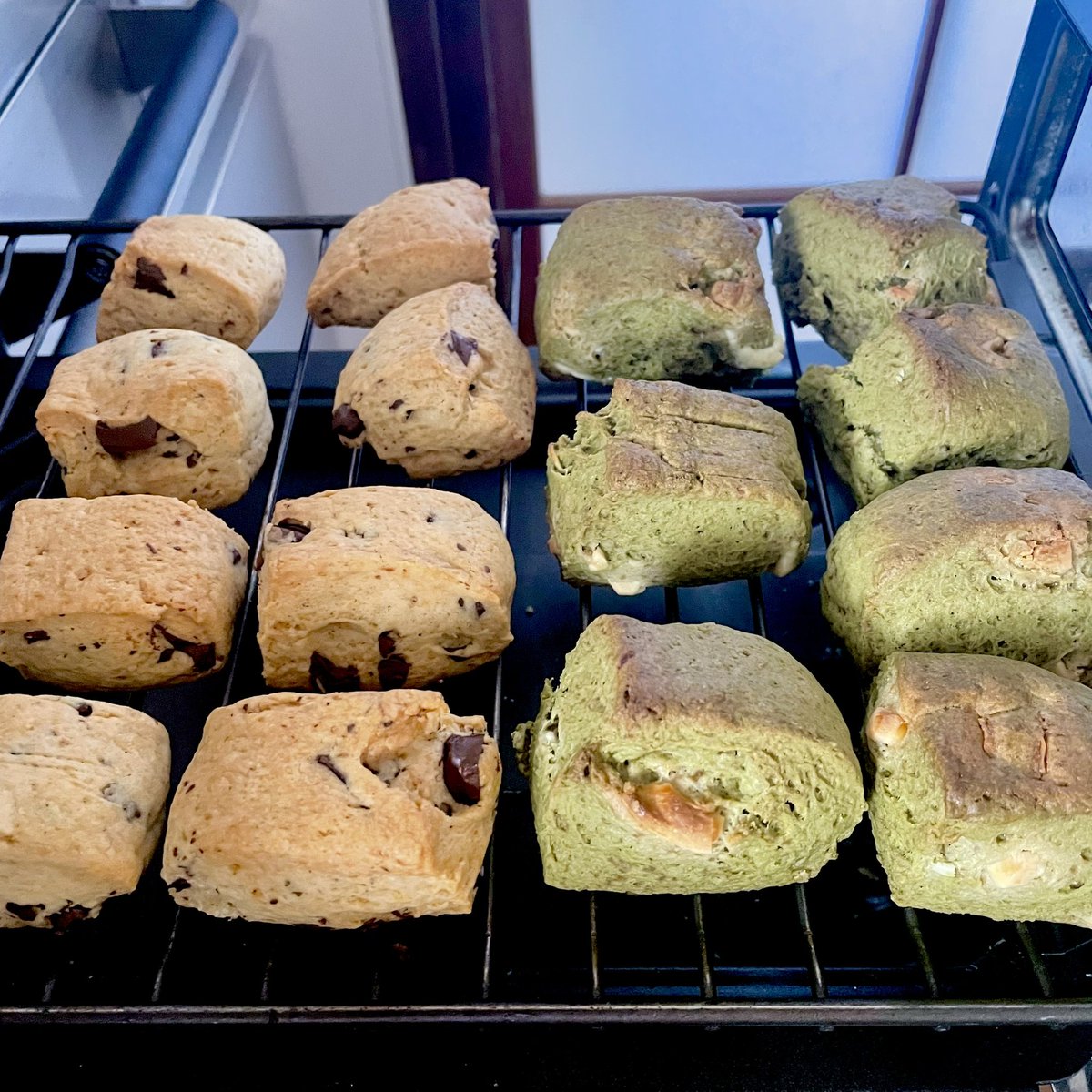 秋のパン祭りだね(もう冬か⁉︎)
次女がパン作りを始めました。たぶんすぐ飽きるであろう、たまにある創作ブーム。
塩バターパンに焼き鳥パン。
途中お昼寝しちゃって生地がカピカピになったらしいけど、とっても美味しい😋
私のスコーン祭りはまだ続いてます。
太る気配がいよいよ濃厚に…