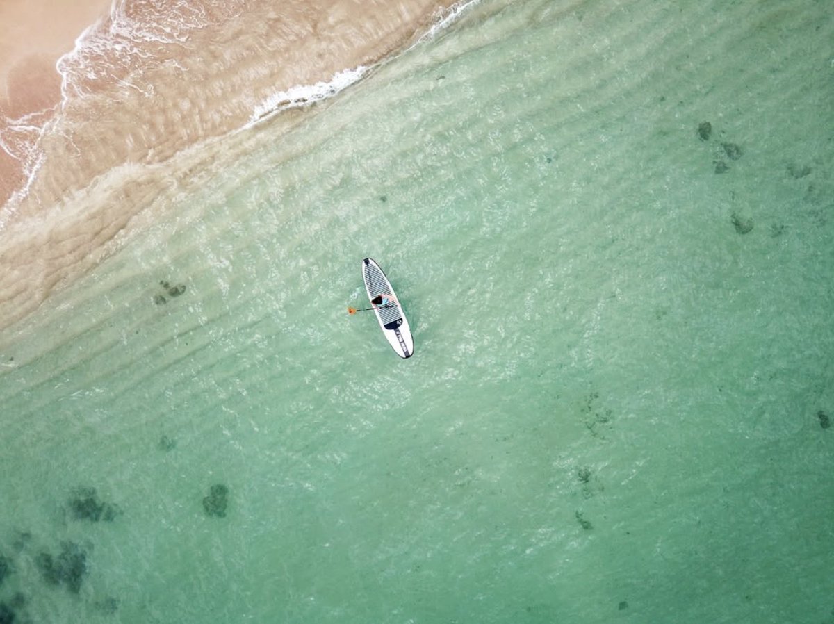 standuppaddletv's tweet image. When life feels overwhelming… zoom out. 😉🌊
#supconnect #paddleboarding

Gear: Pau Hana
