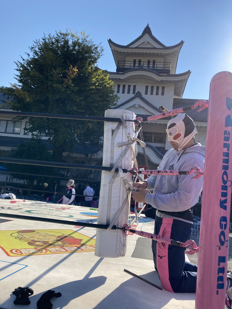 blackbuffalo37's tweet photo. 城主のお城なのかにゃ？ https://t.co/ruXuxpbhT5