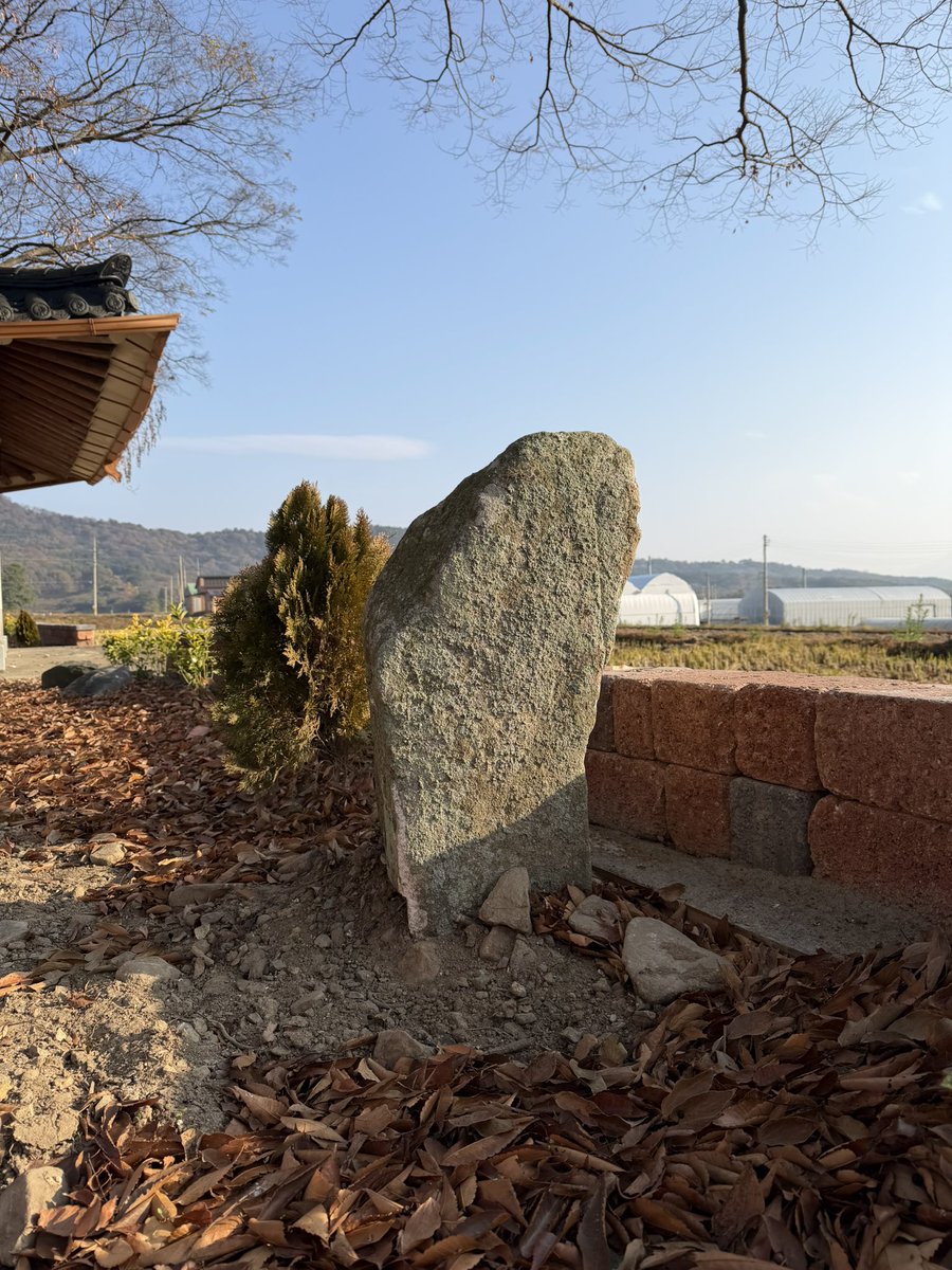 BackInMusashi's tweet image. 全羅南道康津郡 永波里古墳とその近くの立石。前方後円墳候補の一つ。全長67m、高さ7mで近くで見ると思ったより大きい。