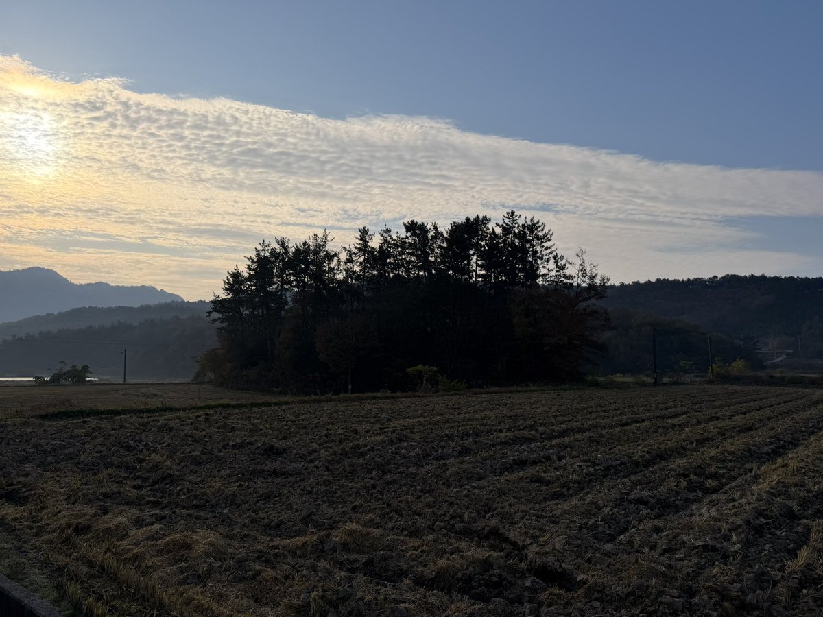 BackInMusashi's tweet image. 全羅南道康津郡 永波里古墳とその近くの立石。前方後円墳候補の一つ。全長67m、高さ7mで近くで見ると思ったより大きい。