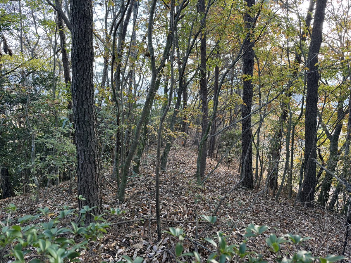 BackInMusashi's tweet image. 全羅南道康津郡 永波里古墳とその近くの立石。前方後円墳候補の一つ。全長67m、高さ7mで近くで見ると思ったより大きい。