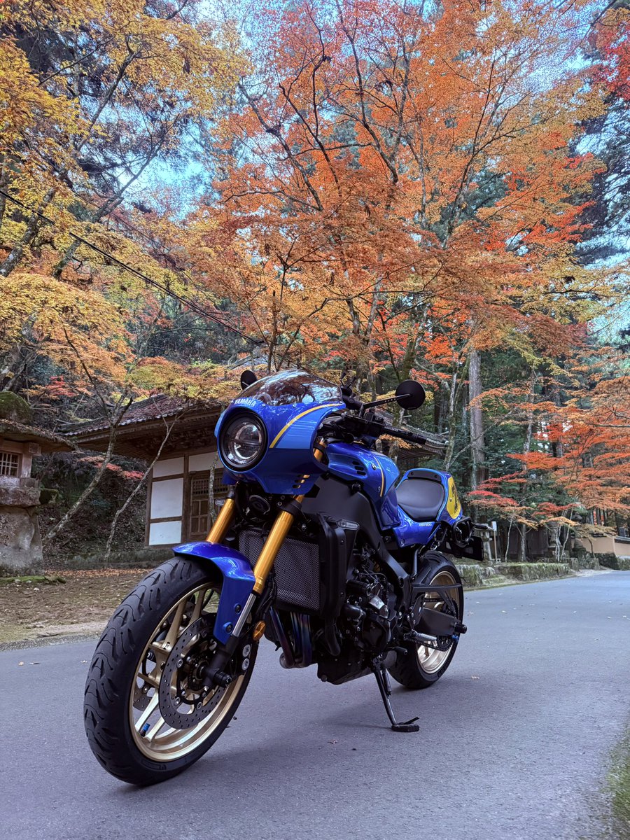 ミケ (@mike_xsr900) / Posts and Replies / X