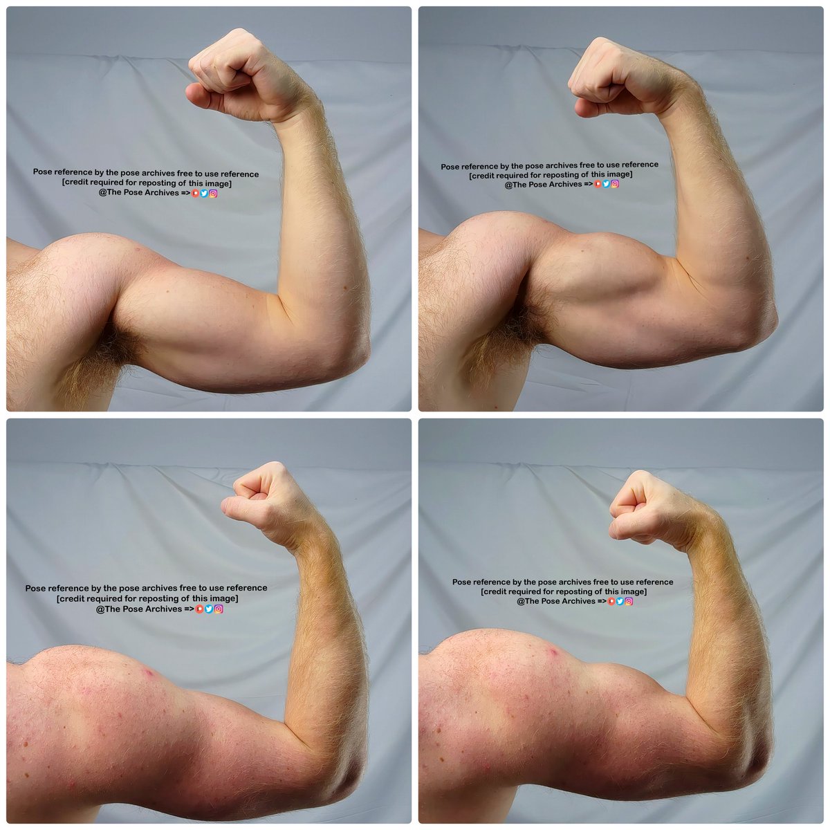 theposearchives's tweet image. New poses!✏️ 
Close up/arm/anatomy/flex