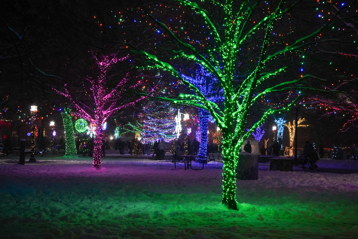 Join us this Friday, November 28 for the Tree Lighting Ceremony in Bronson Park! 🌲✨There will be music and dance performances, kids craft activities, lighting of the park, and more!

📆 Friday, November 28 ⏰ 5-7 p.m. 📍 Bronson Park 

Full details at kzooparks.org/TreeLighting