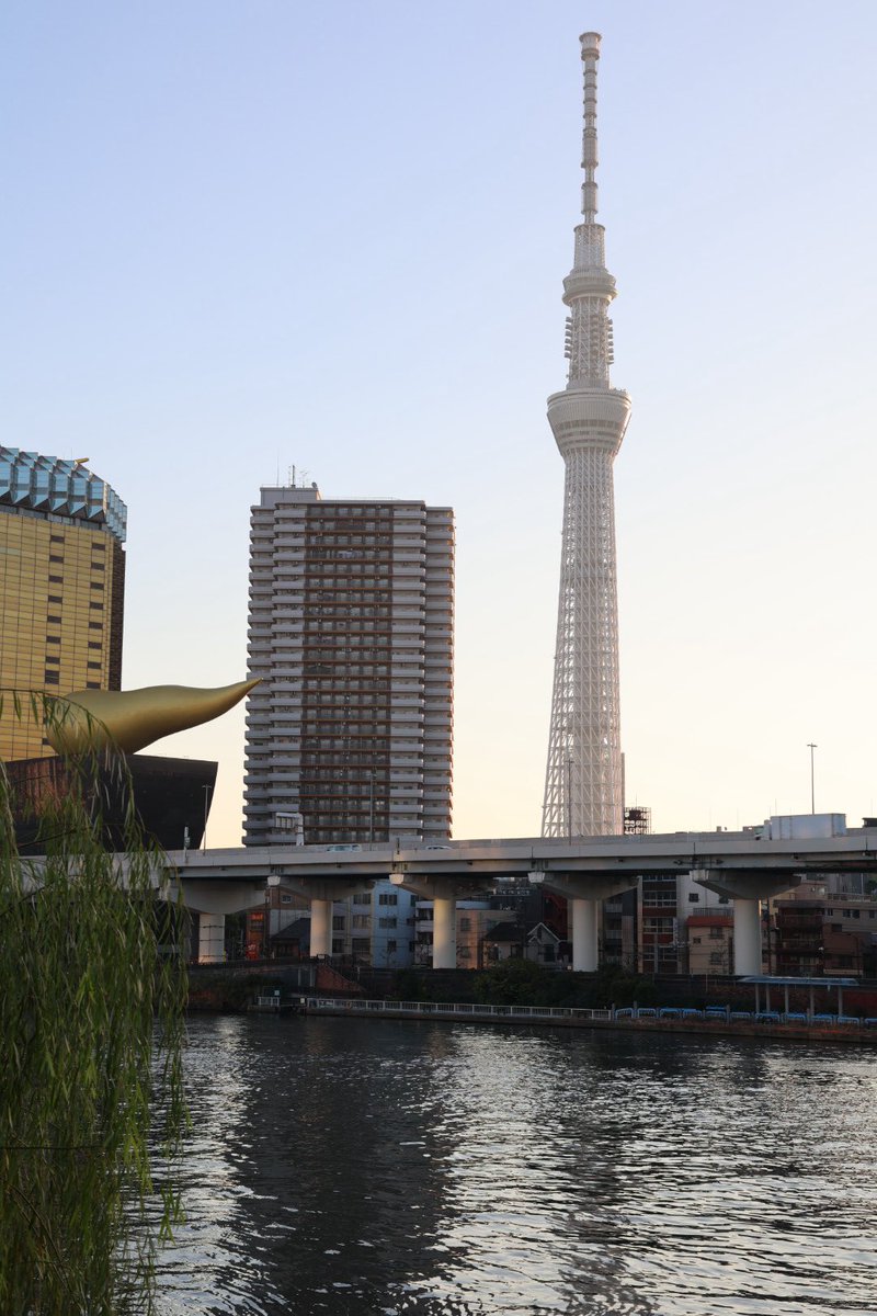takoyakisan55's tweet image. 今朝のお写んぽ写真📷

浅草の浅草寺➡️浅草神社➡️蔵前➡️かっぱ橋➡️上野駅を歩きながら撮ってきました🚶

途中にバンダイの本社があり新しい発見でしたo(o|o)/ｼﾞｭﾜｯ

#EOSR6Mark2