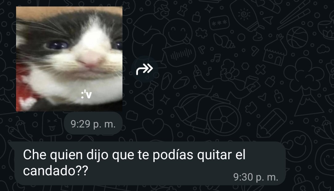 ME TIENE TOTAL Y ABSOLUTAMENTE AGARRADO DE LA CORREA 

<a href="/luciana8998/">⊱Luciana⊰</a> te adoro mi dueñ digo digo mi amor
Déjate embarazar