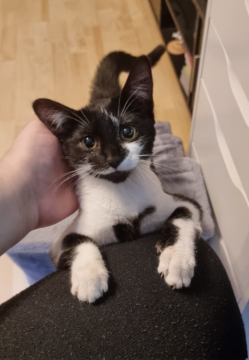 <a href="/Taiga_Doria/">Taiga Doria | L2D Puppet | †øм</a>