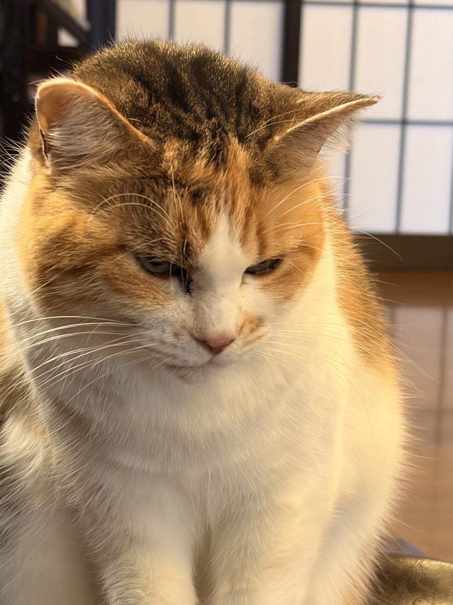 ふぁい@C107火曜 南1_s-14b (@rocking_jjj) / Posts / X