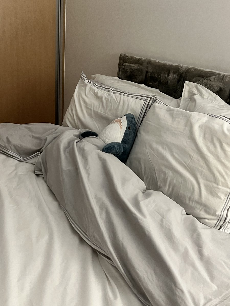 ARKU___'s tweet image. 한참 입시할 시절에
매일 밤마다 엄마가 침대에 어른상어 아기상어 세팅해두셨었음
힘들었을 때 소소하게 위안이 됐던