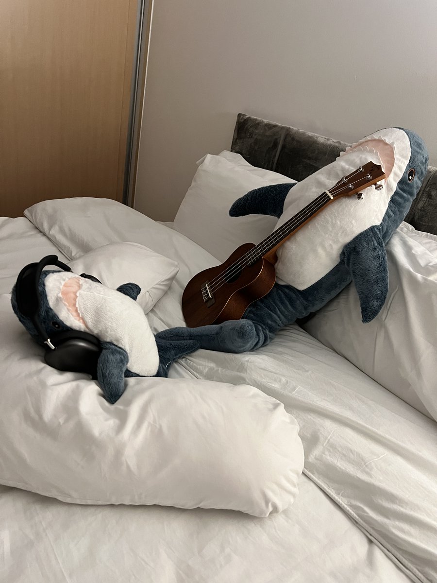 ARKU___'s tweet image. 한참 입시할 시절에
매일 밤마다 엄마가 침대에 어른상어 아기상어 세팅해두셨었음
힘들었을 때 소소하게 위안이 됐던