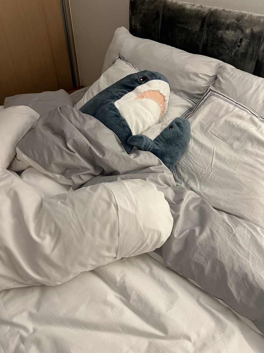 ARKU___'s tweet image. 한참 입시할 시절에
매일 밤마다 엄마가 침대에 어른상어 아기상어 세팅해두셨었음
힘들었을 때 소소하게 위안이 됐던