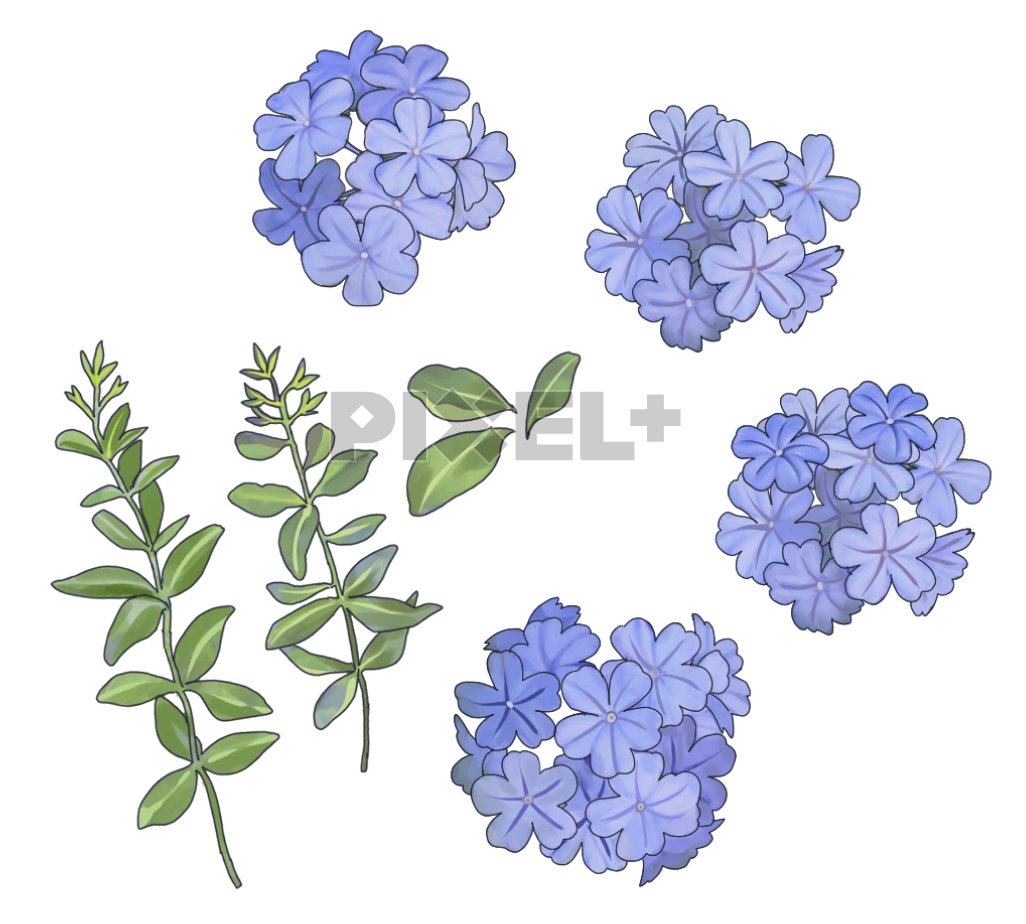 무료 이미지 소재 - 납풀 PNG이미지
pxplus.io/product/4309/d…

파란색 꽃 이미지 소재입니다!
꽃, 잎, 줄기 분리되어있어 조합해서 사용 가능합니다!  

픽셀플러스 처음이신 분은 초대코드 OHP7B18BA3 입력해주시면 총 6,000원 할인쿠폰을 받으실 수 있습니다💕