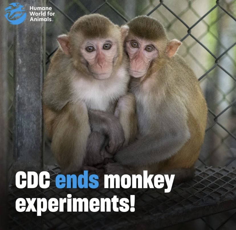 Strutter66's tweet image. 🙌🏻🫶🏻