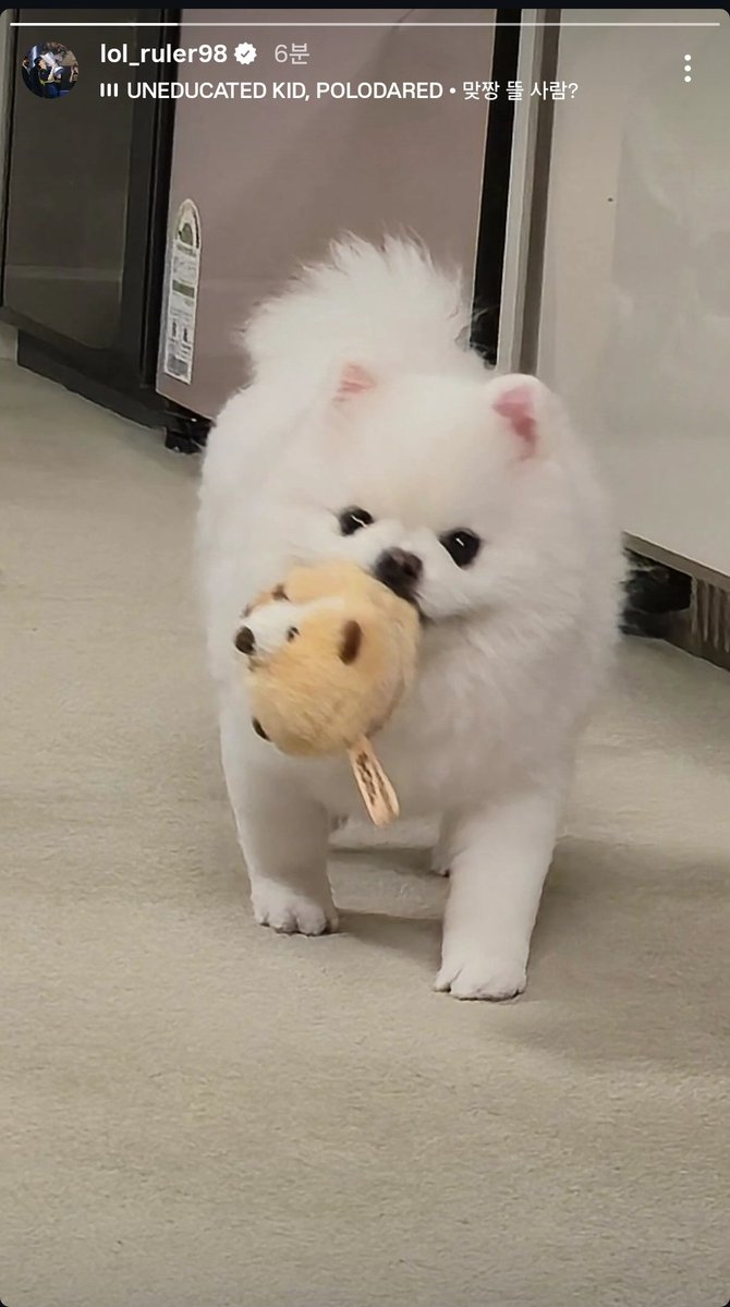 251124
룰러 인스타스토리 샤네리😍