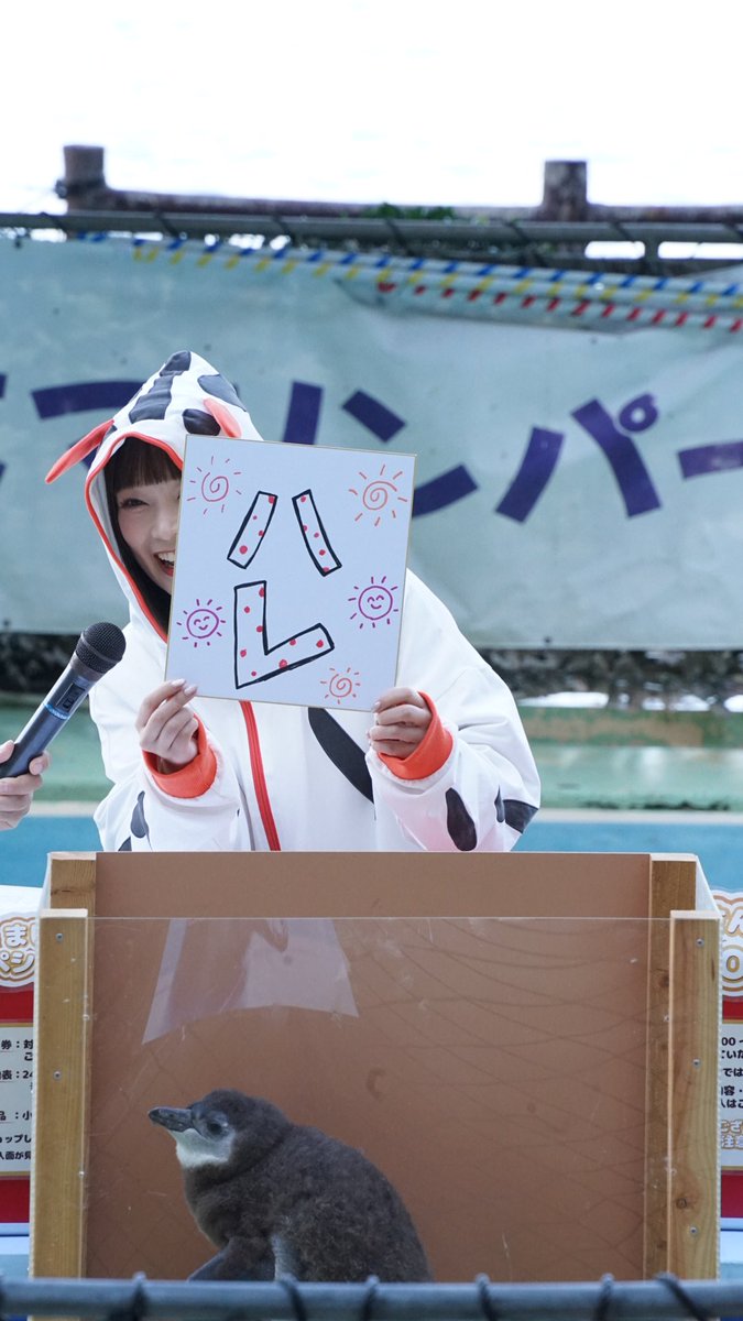 A_shimatarou's tweet image. 小山さん、トークショーにご参加いただいた皆様、誠にありがとうございました！
多くの方にご参加いただき、とても楽しい時間となりました✨

ケープペンギンのヒナちゃんの名前は、、、
『ハレ』ちゃんに決定！！…