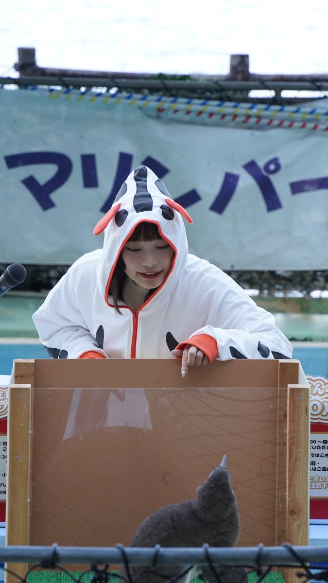 A_shimatarou's tweet image. 小山さん、トークショーにご参加いただいた皆様、誠にありがとうございました！
多くの方にご参加いただき、とても楽しい時間となりました✨

ケープペンギンのヒナちゃんの名前は、、、
『ハレ』ちゃんに決定！！…