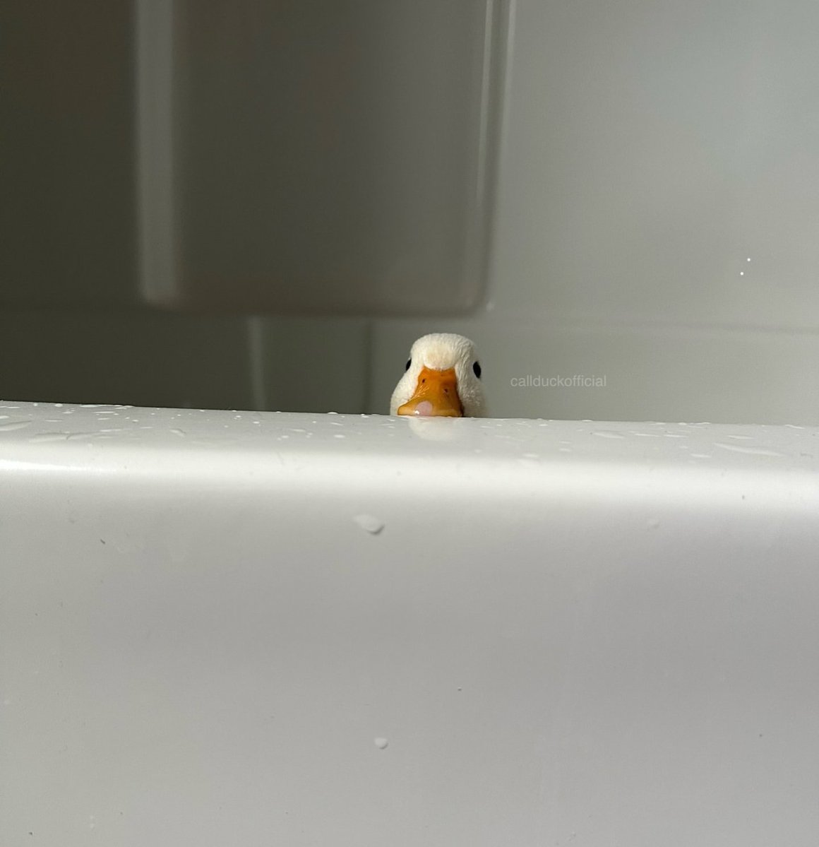 Привет, понедельник ...