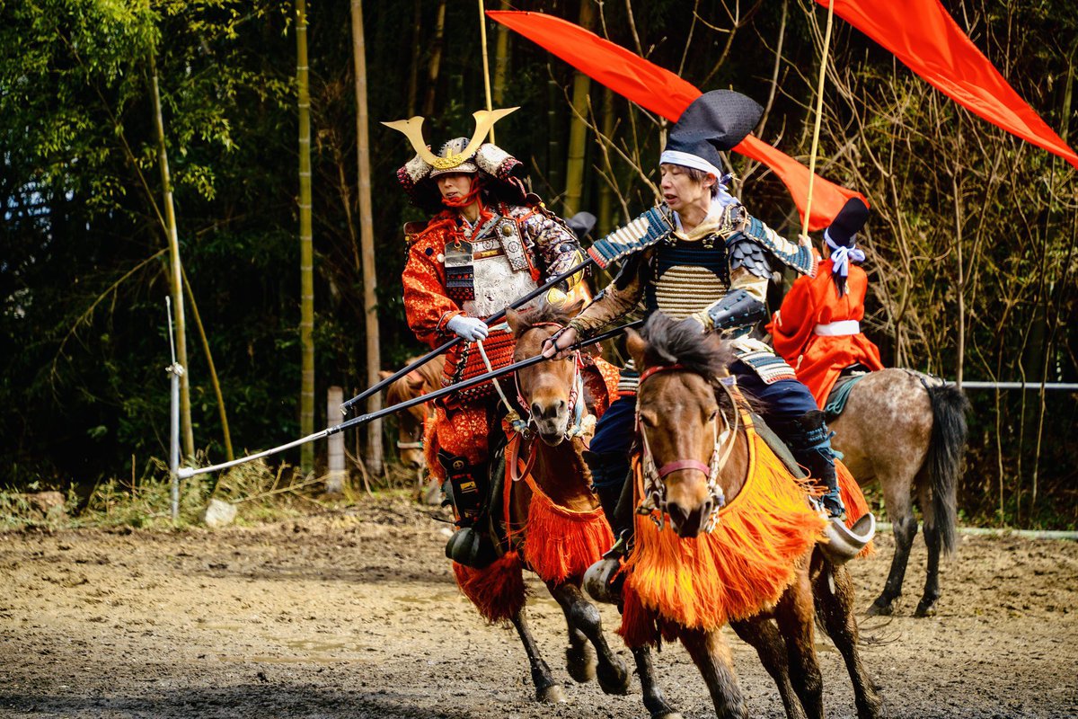 in20876533's tweet image. 2025.11.30（日）正午〜
木曽馬🐴と御猟野乃杜牧場の皆様による、奉納馬上武芸あります✨

木曽馬と和式馬術と伝統装束による雅で勇壮な素晴らしい演武です！
流鏑馬あり！馬上舞、馬上武芸あり！✨
ご興味ある方！是非お越しください！
場所:近江八幡市、賀茂神社
#御猟野乃杜牧場