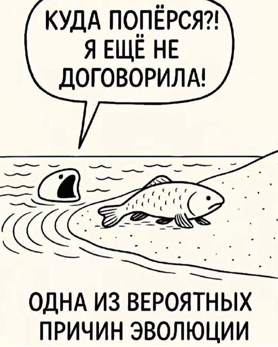 Sand-Witch (@saaandwitch) on Twitter photo 