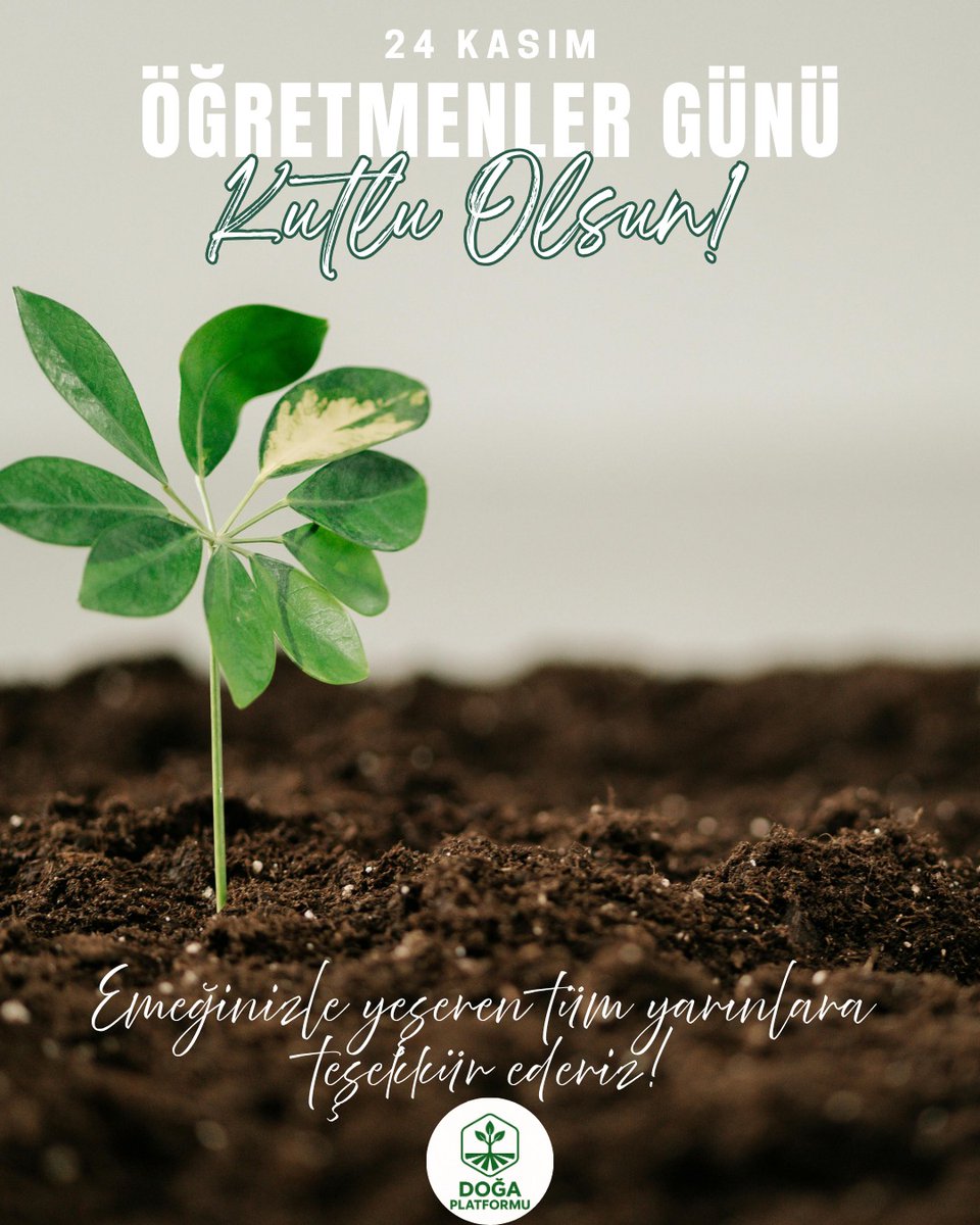 Bir ağacın kökünü güçlendiren toprak, bir toplumun geleceğini güçlendiren ise öğretmenlerdir.
Emeğiyle, bilgisiyle ve yüreğiyle yarınları yeşerten tüm öğretmenlerimizin Öğretmenler Günü kutlu olsun.
#öğretmenlergünü
#doğaplatformu