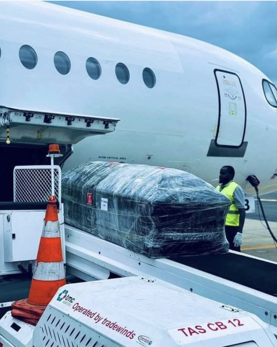 SyllaPoutine's tweet image. Un corps chargé comme une valise dans un avion. Aujourd&apos;hui tu voles en première classe, demain
tu es transporté comme une valise. Soyons TOUJOURS HUMBLE.
#TL224 #Kibaro