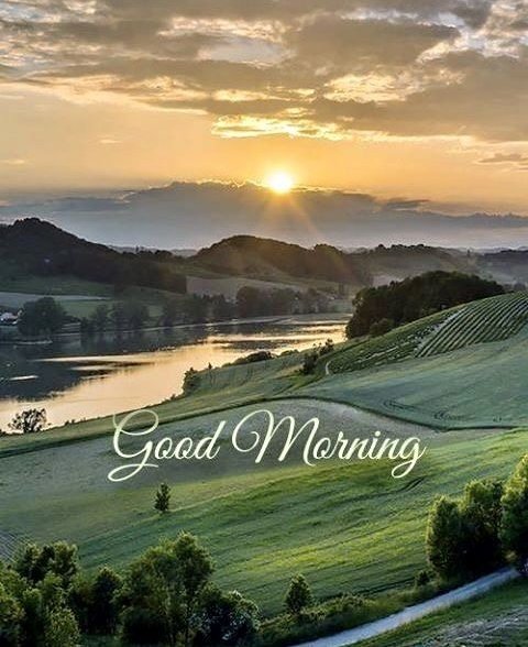 GOOD MORNING Y'ALL ☀️☀️☀️