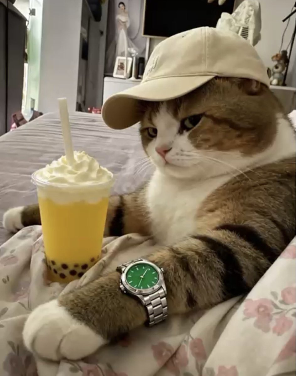 Good morning mates 

The week has just started and it's already looks good 

The market's condition shouldn't affect you mentally

Don't give up on the dream!

And this man flagged me for no reason after updating the app

He's lucky that i'm in a good mood