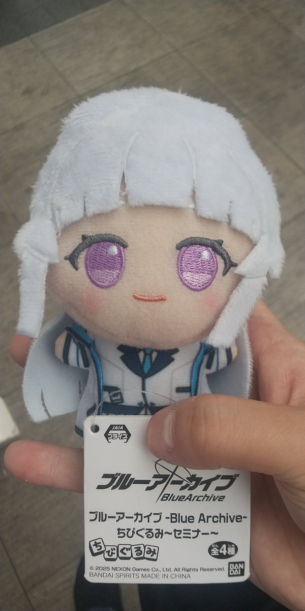 取った写真 撮り忘れた ノアちゃんのぬいぐるみ 使う用