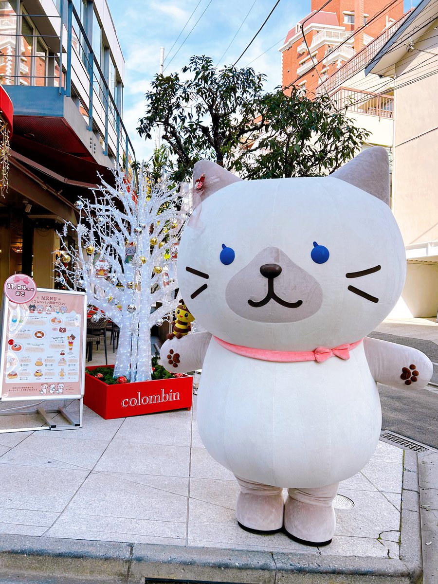 harajukumiccolo's tweet image. シャーシャさん！スコアさん！
原宿サロンに来てくれてありがとはにぃ(*≧∀≦*)

#ふくふくにゃんこ