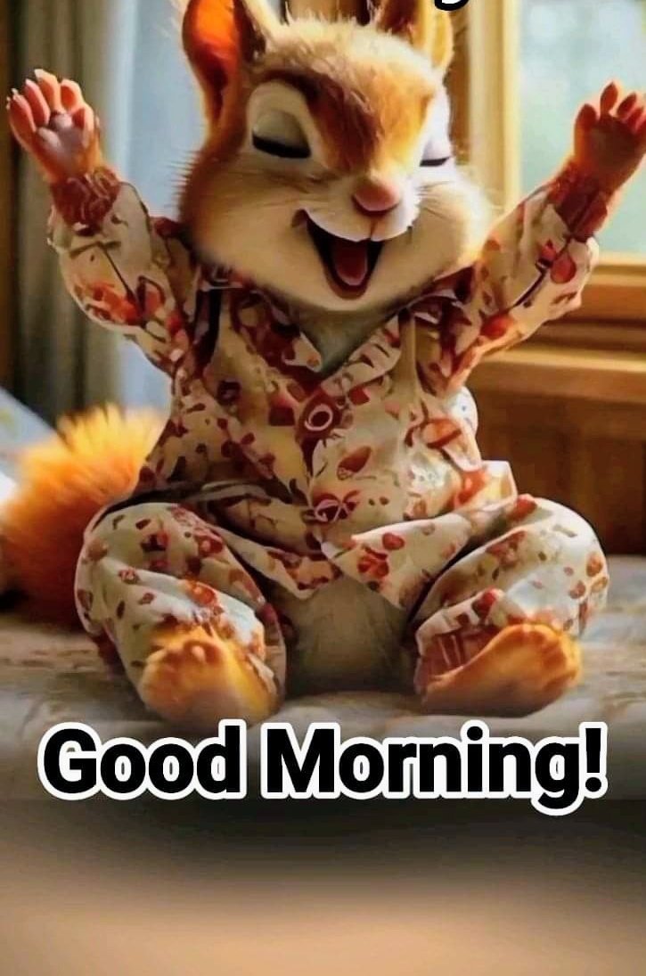 sosoflezy's tweet image. Don&apos;t let negativity from yesterday dull the sparkle of today.
Good morning beautiful people 💕💕