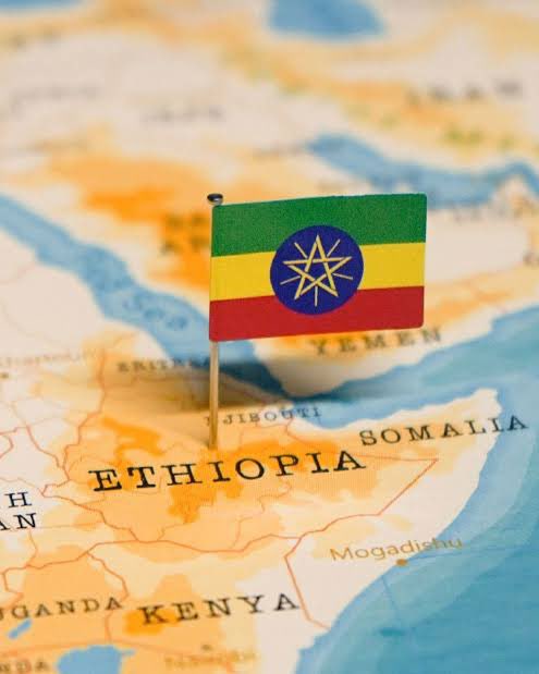 Abdirezak Sahane tweet media