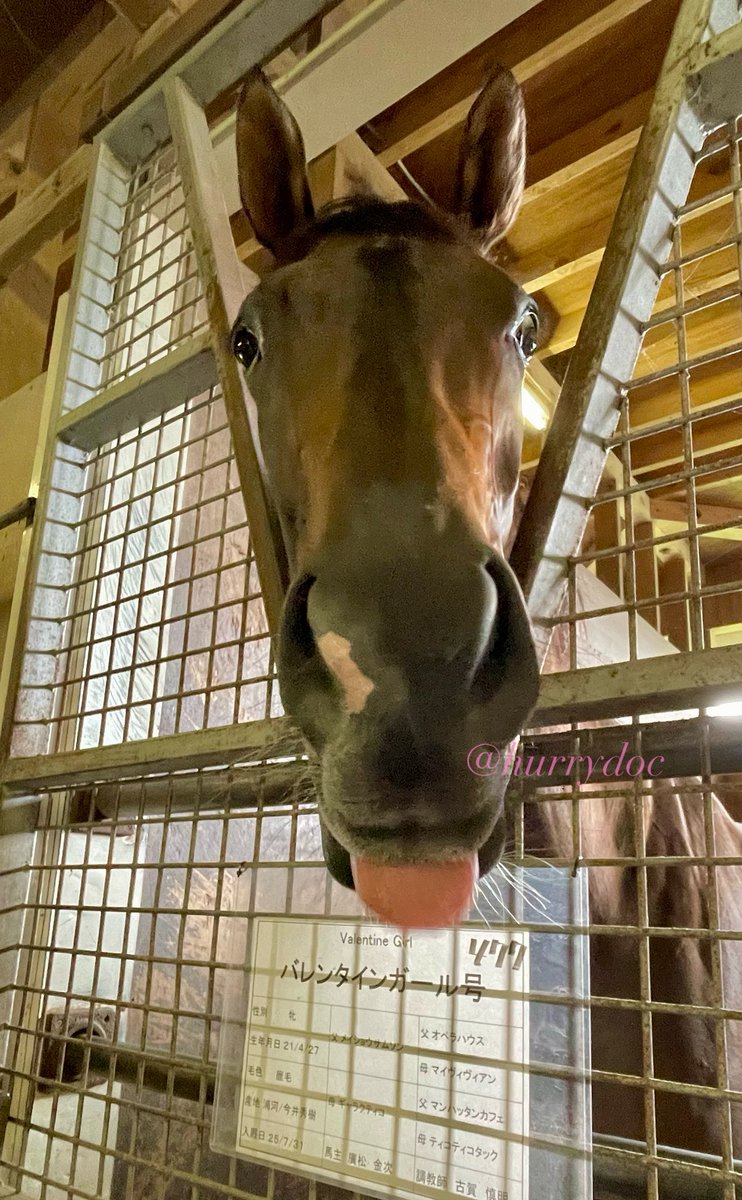 E3%83%90%E3%83%AC%E3%83%B3%E3%82%BF%E3%82%A4%E3%83%B3%E3%82%AC%E3