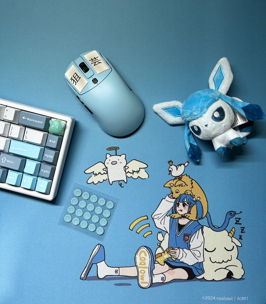 blue mouse, blue keyboard, blue skates, blue pad what am i missing