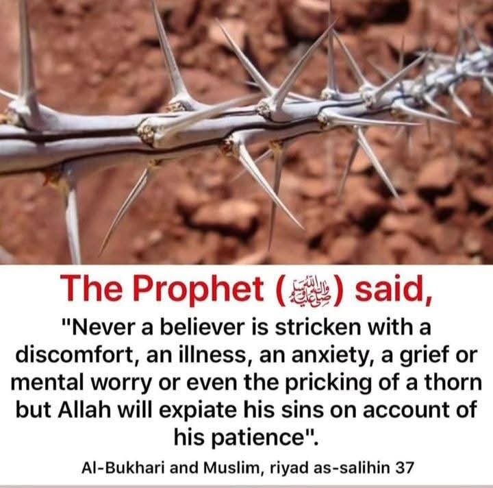 Folaborn's tweet image. 