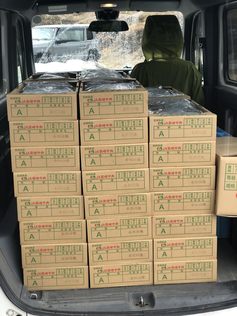 石垣将徳@きゅうり農家 tweet media