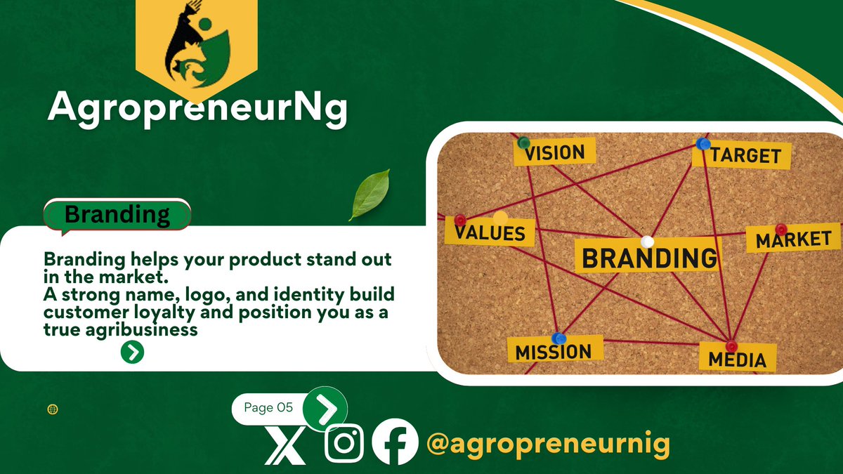 Agropreneurnig's tweet image. Small changes bring bigger profits.
👉 Which one will you try first?
#AgropreneurNG #AgriTips #ValueAddition #Agribusiness