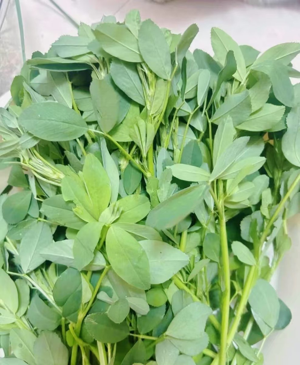 张老师 tweet media